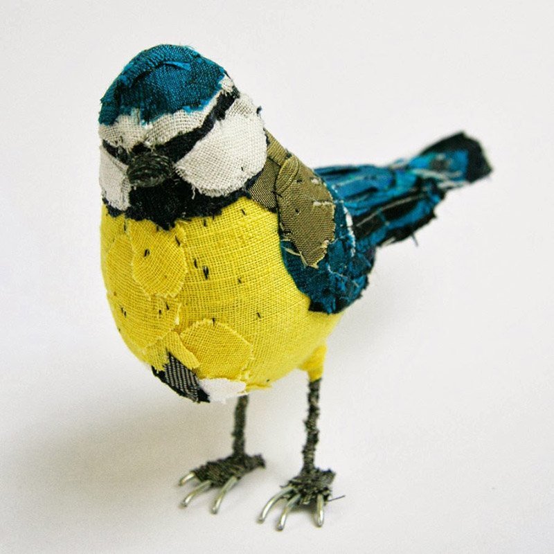 bluetit_01