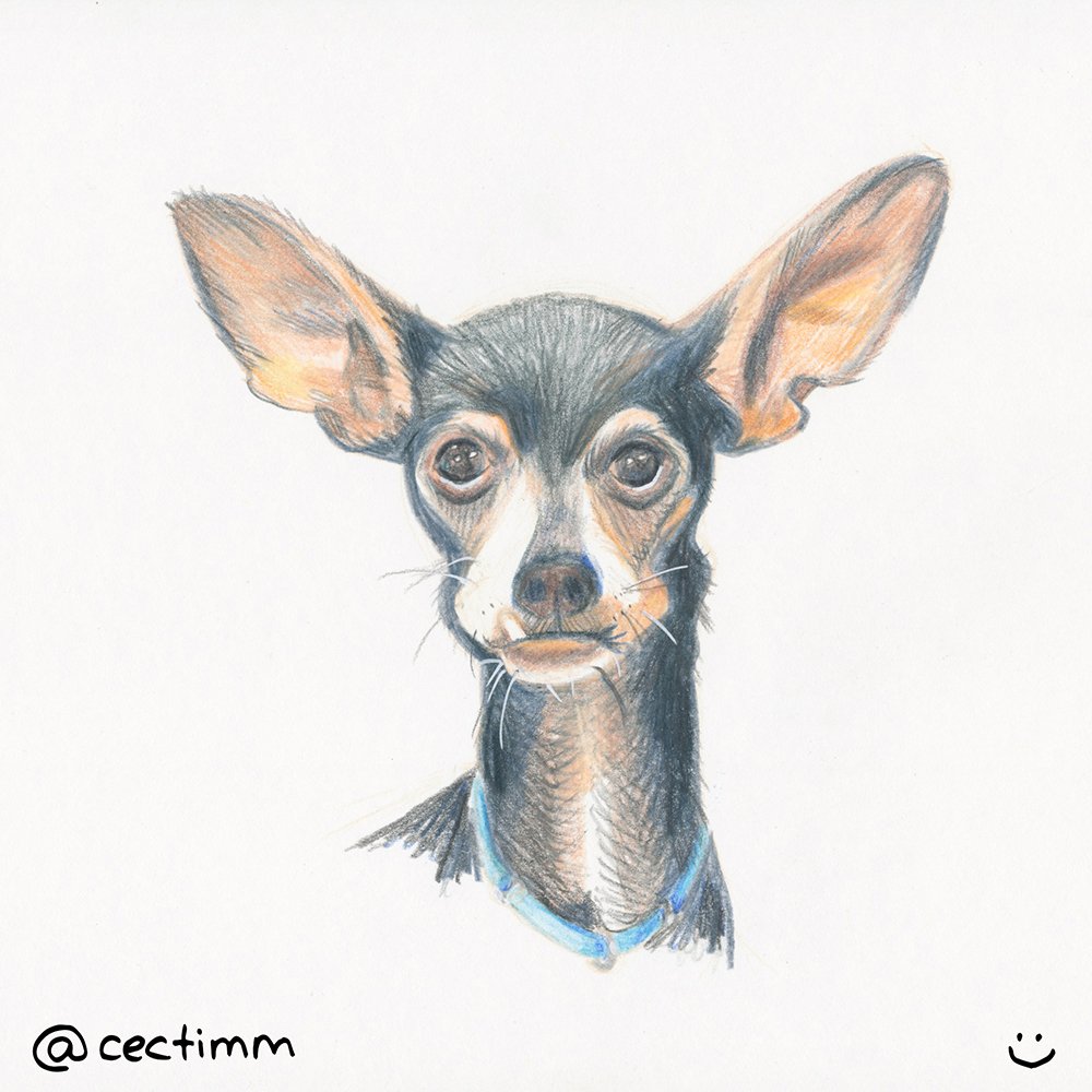 cectimm 2015 02 09 dog with big ears
