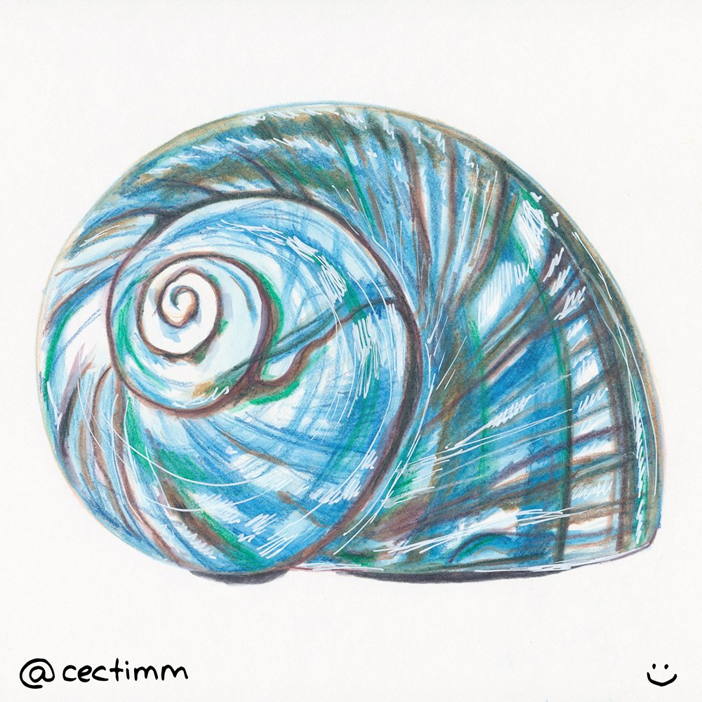 cectimm 2015 02 28 blue shell