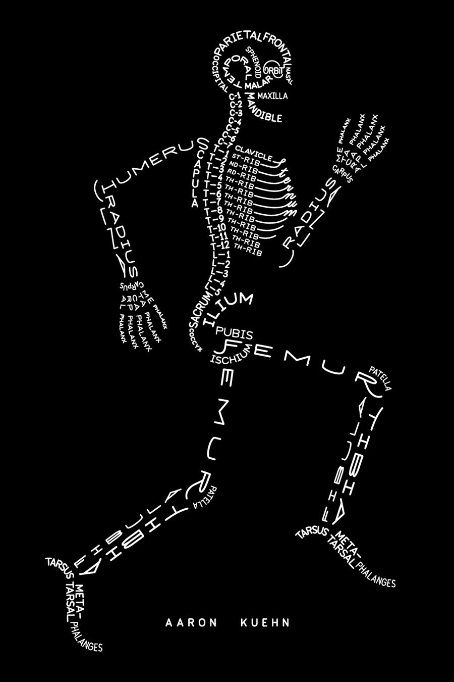 SkeletonTypogram-AaronKuehn