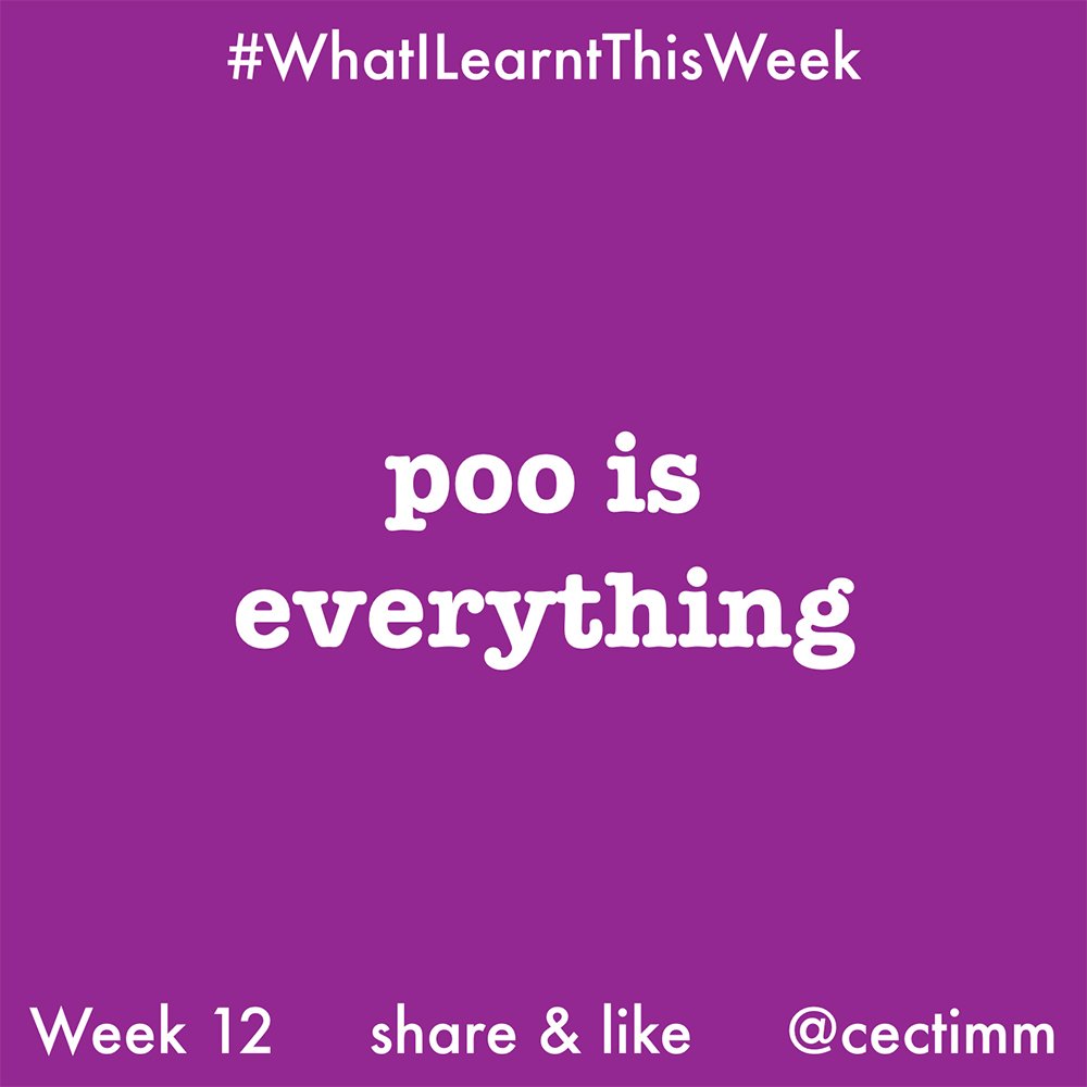 cectimm_WILTW_2016_Week12