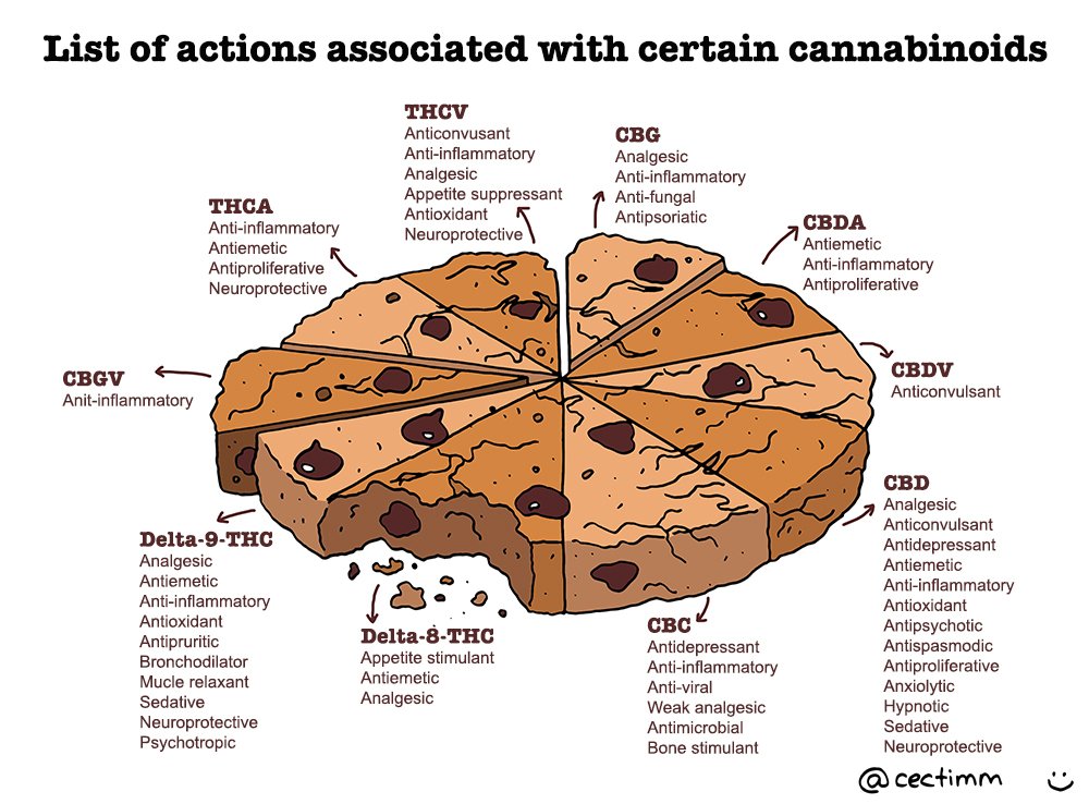 list-of-actions-associated-with-certain-cannabinoids-a